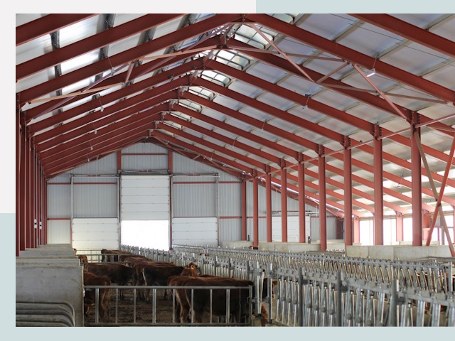 Строительство коровников в Малоярославце